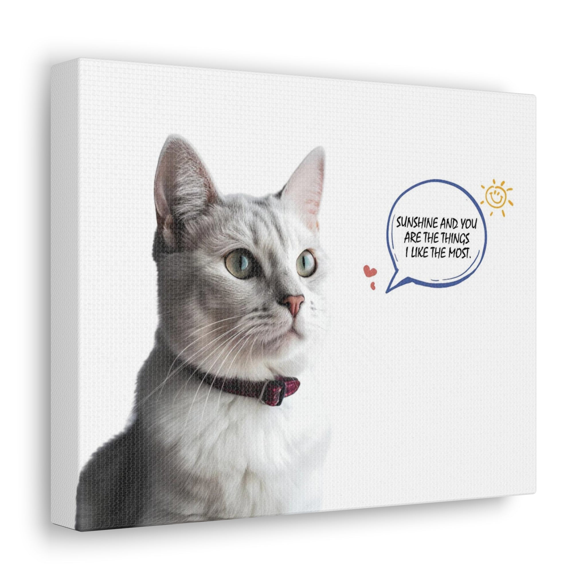 Custom Cat Canvas Prints: The Perfect Way to Celebrate Your Feline Friend